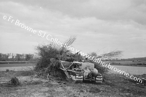 BULLDOZER  CLEARING SCRUB AND TREES